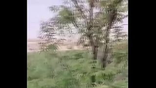 Filipina Teen Slut Gets Pounded On A Jungle Trail